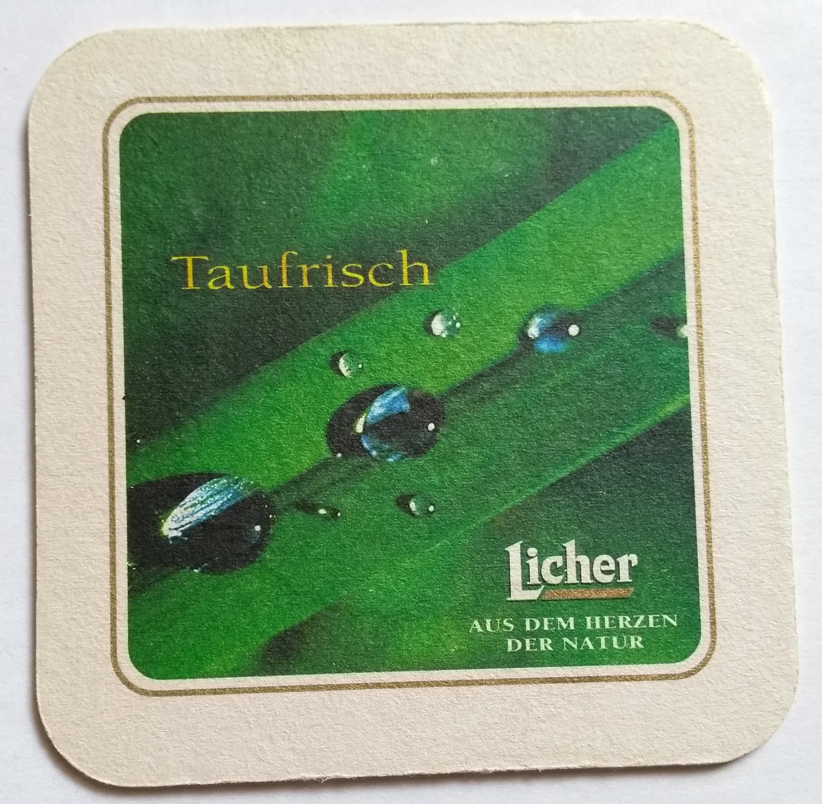 Reverso de LICHER #2