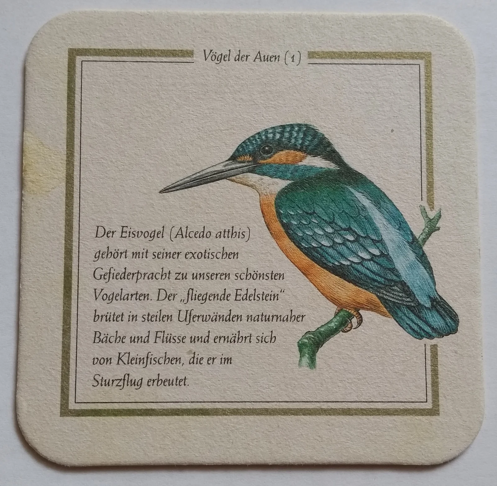 Reverso de LICHER #6
