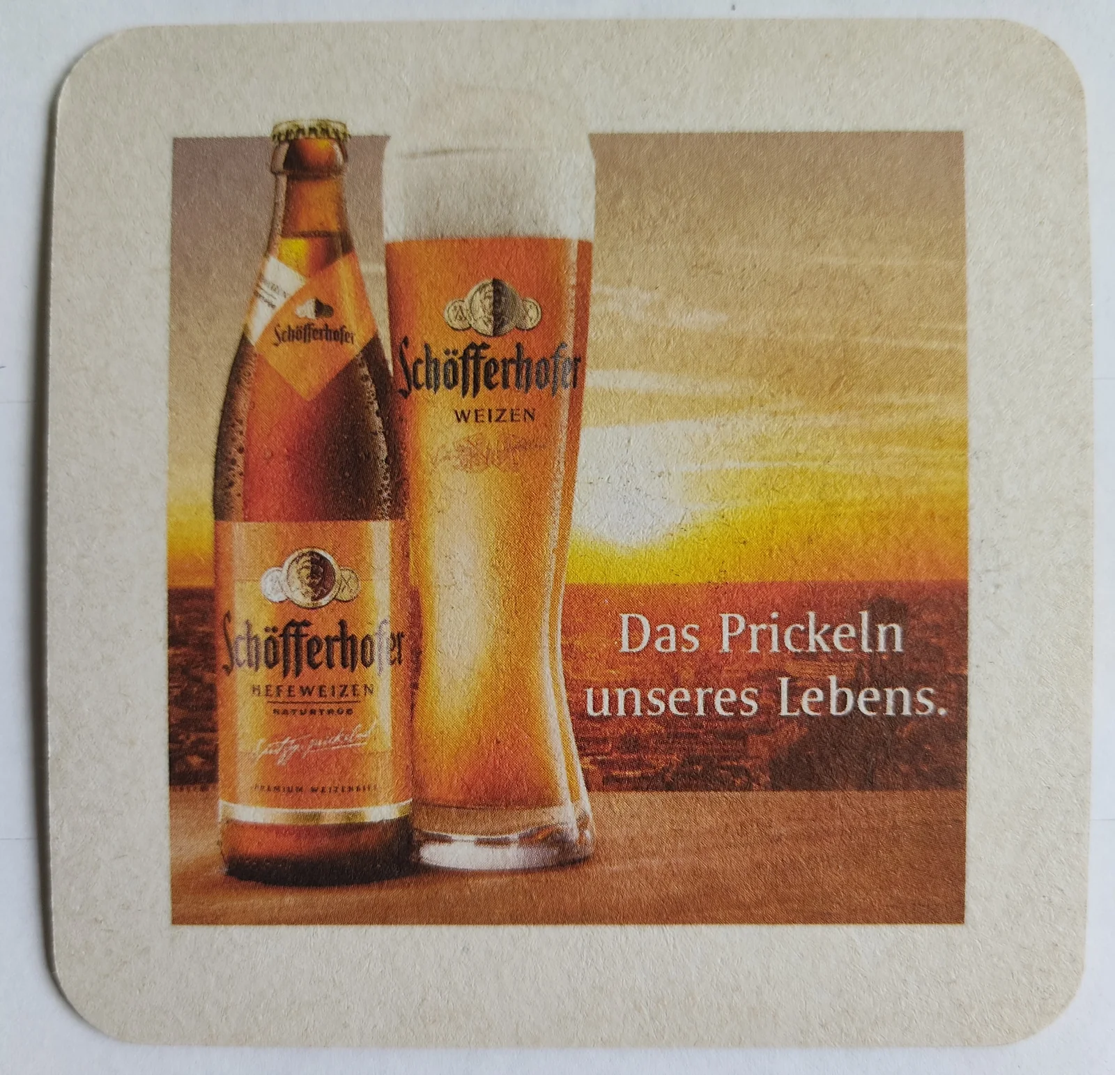 Reverso de SCHÖFFERHOFER #5